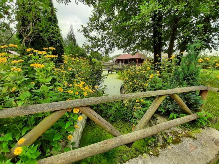 Gospodarstwo Agroturystyczne Pod Lasem Maria Plazio Narol Luaran gambar